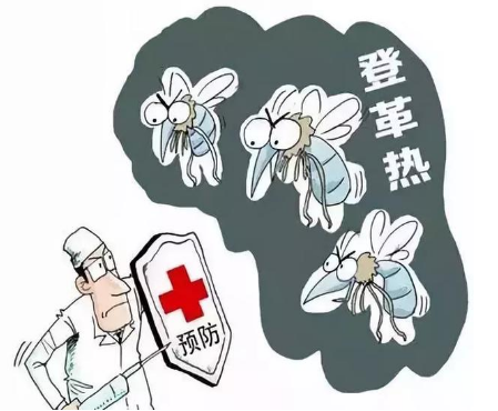 2019防蚊灭蚊宣传标语 防蚊灭蚊18个小妙招
