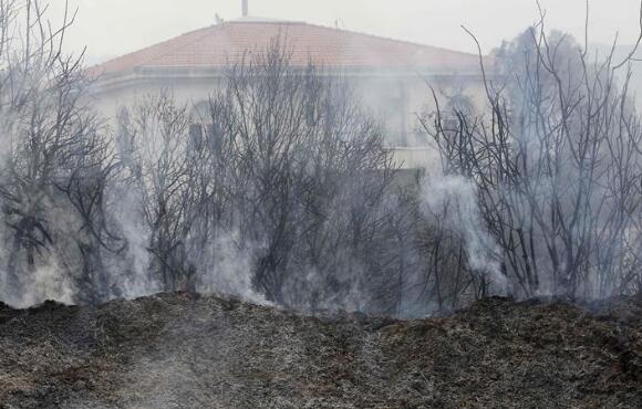黎巴嫩一山区发生森林火灾 目前火势仍未完全控制
