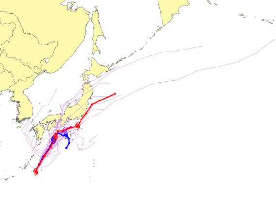 最新台风动态20号台风 “浣熊”逐渐减弱明将登陆日本