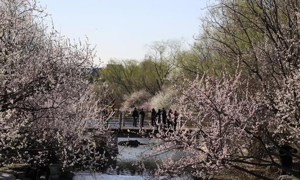 今天北京依旧一片蓝天白云 局地气温最高仅有20℃