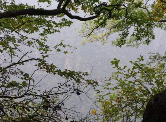 江苏今天部分地区有雨 明雨水暂停体感温暖