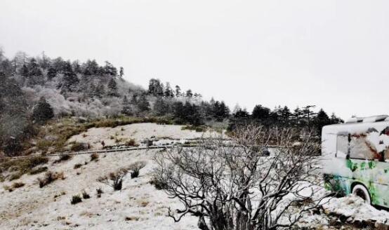 湖北神农顶景区迎首轮降雪 时间比去年晚了21天