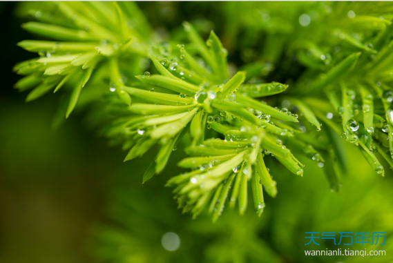 适合下雨天发的朋友圈 下雨天的心情经典说说句子