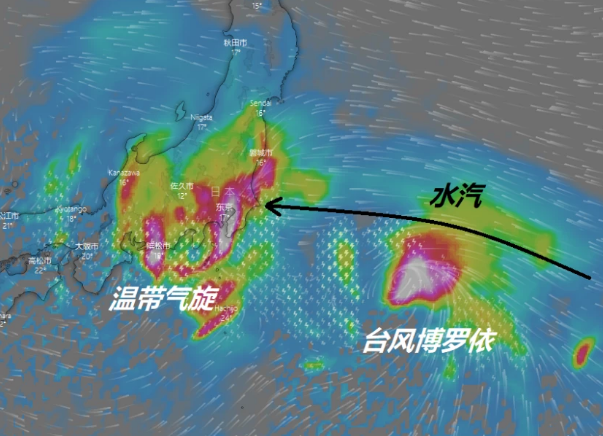 21号台风的暴雨哪去了？日本气象厅：温带气旋阻挡暴雨来日