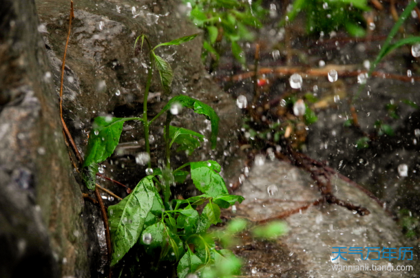 适合下雨天发的朋友圈 下雨天的心情经典说说句子