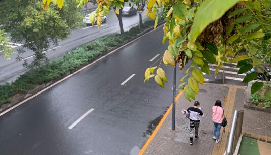 北京局地大风最高气温仅14℃ 周末晴转多云为主