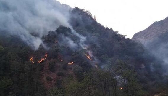 湖北发布森林火险橙色预警 未来三天仍无明显降水