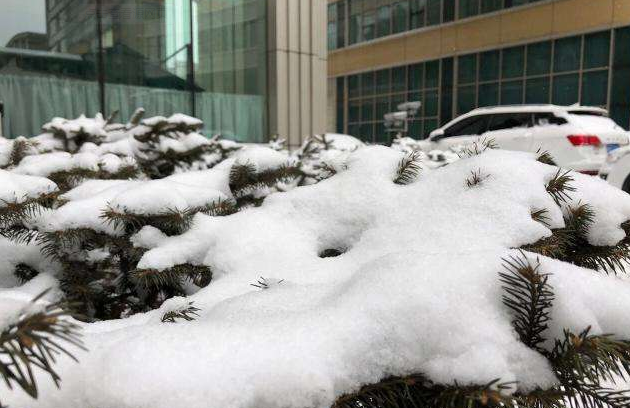 2019内蒙暴雪红色预警最新通报 全区气温降至10℃以下中东部仍有雨雪