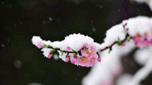 华西阴雨周末仍将继续 强冷空气在东北黄淮盘踞