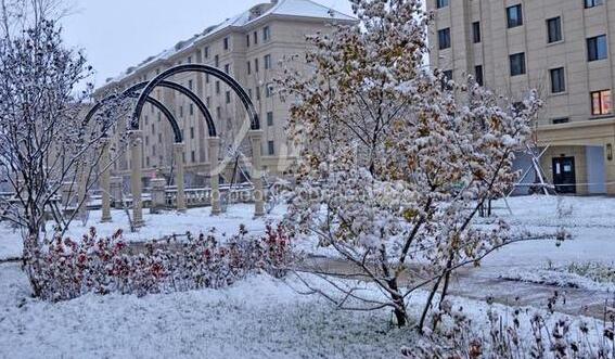 内蒙古雨雪与降温齐发 多地最低温度0℃以下