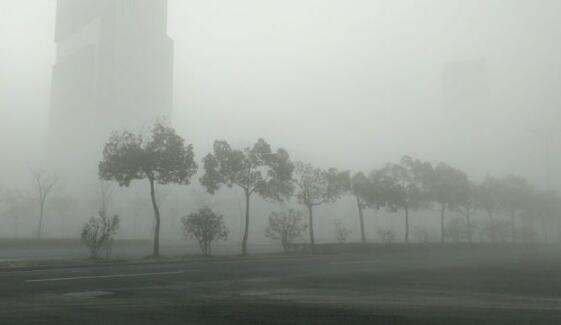 安徽发布大雾黄色预警信号 省内多条高速实施交通管制