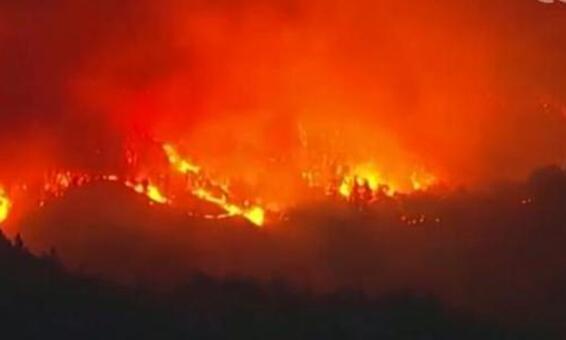 美国加州山火蔓延数百万户断电 目前全州进入紧急状态