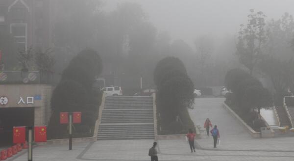 今晨重庆多地大雾围城 主城区气温最高23℃