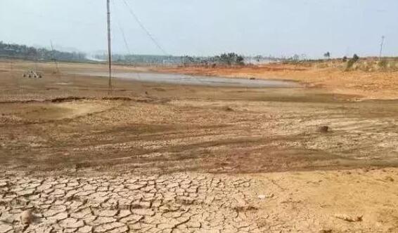 厦门连续54天没有出现强降雨 多地达到气象重旱标准