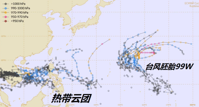 23号台风正在南海发展！台风夏浪最新路径图意外曝光