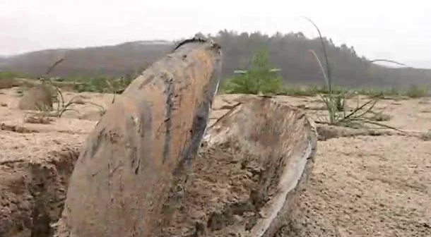 安徽多地旱情严重河蚌干死 几十年一遇大旱让水库见底