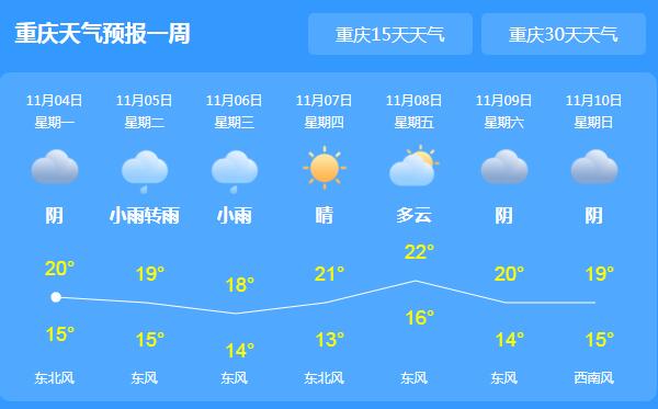 重庆多地迎来大雾天气 主城区气温最高仅20℃