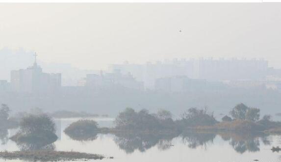 韩国多地出现严重雾霾天气 国内单双尾号限号行驶