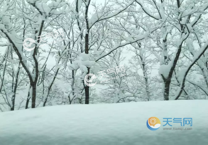 中国气象局明确:2019年的冬天是冷冬的概率为