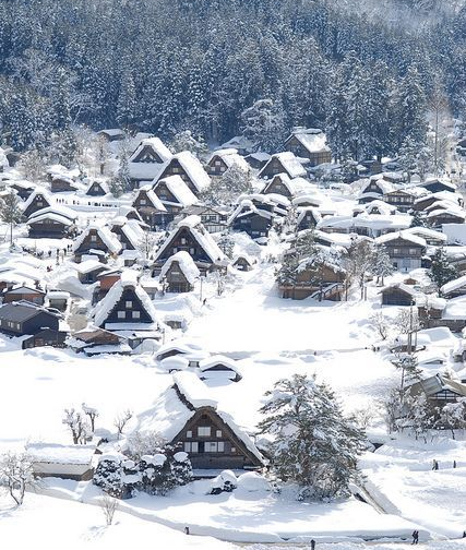 九寨飘雪实拍（图） 童话世界每天8000人游览