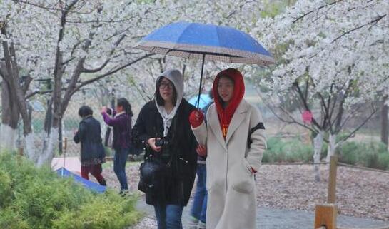 北京今迎立冬气温跌至15℃ 这周末有冷空气随行