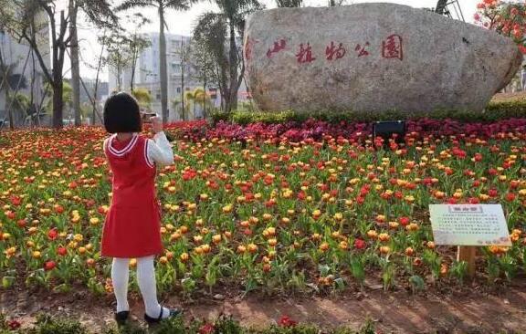 本周厦门持续晴朗的天气 局地最高气温逼近30℃