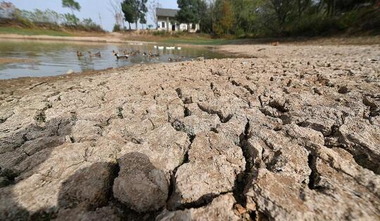 合肥遭遇30年一次的特级气象干旱 9月平均降雨量仅23毫米