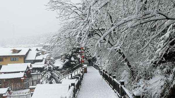 黑龙江大雪封高速道路结冰 至少10条高速被迫封闭