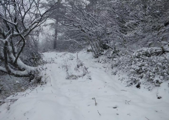 峨眉山2019第一场雪雪景实拍 峨眉山第一场雪值得去看吗？