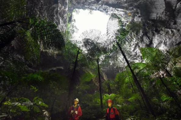 广西发现天坑群系19个天坑组成 那坡天坑群数量最多最大