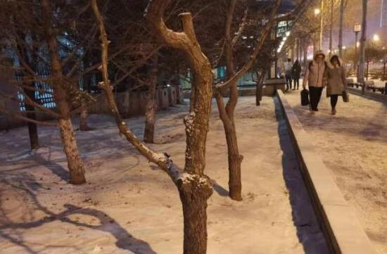 黑龙江发布暴雪红色预警 局地降雪量达27.8毫米