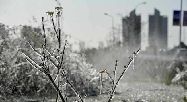 强冷空气今起袭击南方降4℃-8℃ 东部海区有10级阵风