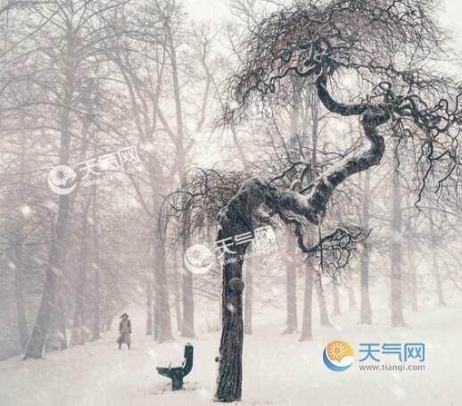 冬天下雪图片 下雪花的图片唯美图片