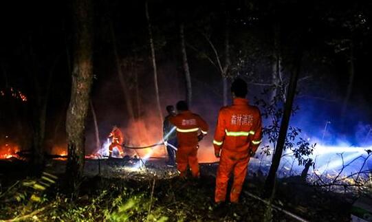 江西南昌湾里区突发森林火灾 10多小时灭火无人员伤亡