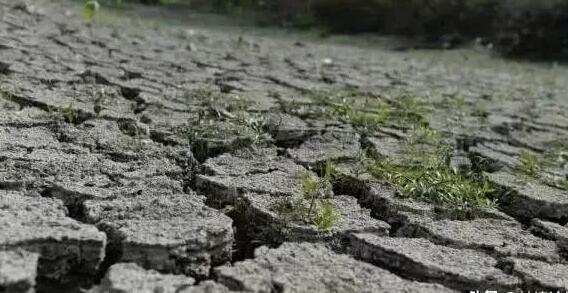 安徽解除干旱Ⅲ级应急响应 未来十天降水依旧偏少