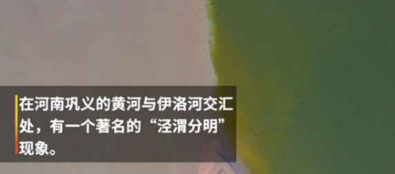 伊洛河汇入黄河成鸳鸯锅 泾渭分明在这些地方也存在