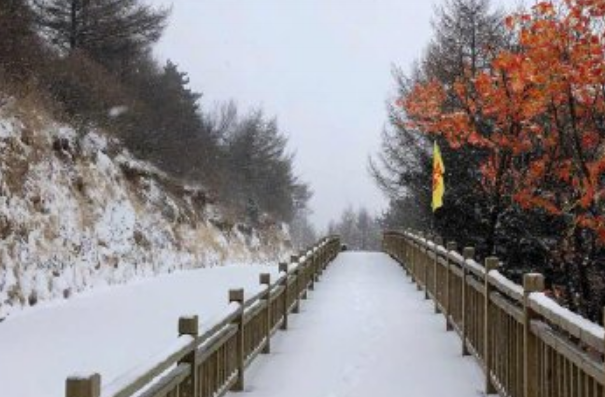 河北初雪已临 接下来是冷空气到货时间