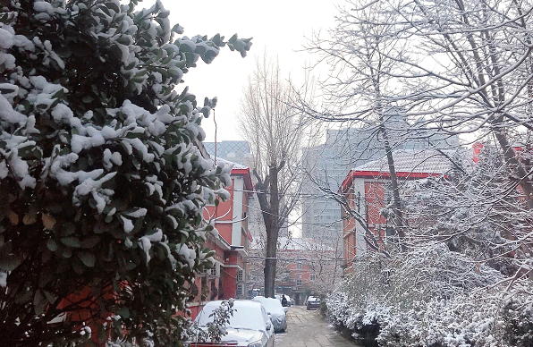 北京今年初雪已到货 一夜之后故宫的雪美如画