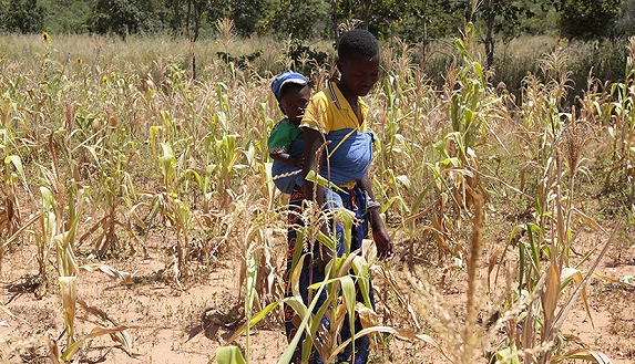 津巴布韦陷人造饥荒 一年通胀350%全国一半人饿肚子