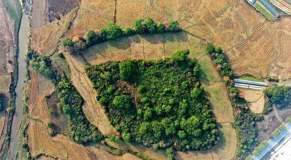 江西发现史前遗址5000年前这里就有人 2万平米有陶器