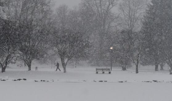 美国洛杉矶连降大雪 当地4200户停电部分交通中断