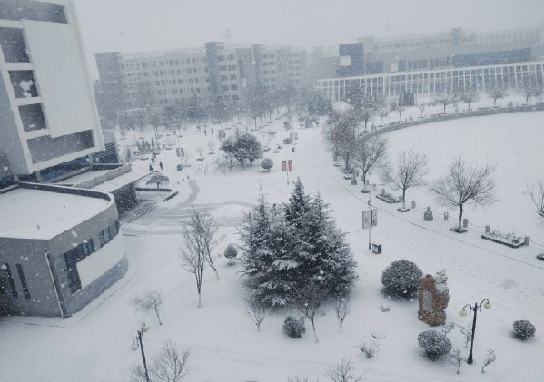 南方人看雪北方人看雪区别在哪？北方人一脸懵南方人热情如火