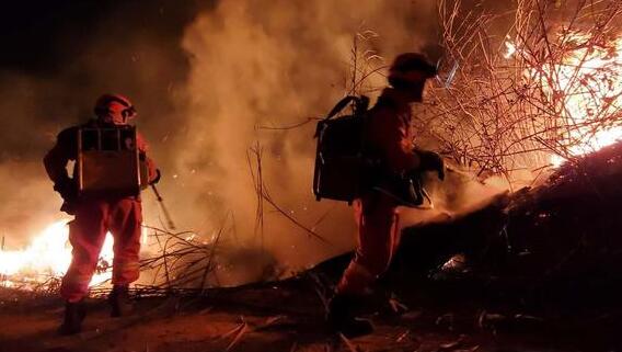 佛山高明区发生山火灾害 目前暂无人员伤亡报告