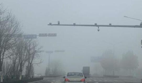 山东发布大雾红色预警 济南全部高速收费站双向封闭