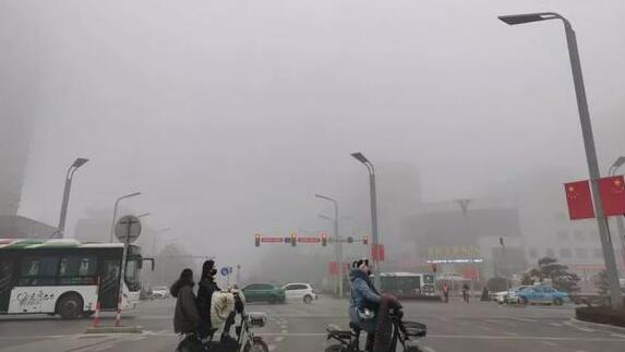 今晨淄博发布大雾红色预警 境内多条高速双向入口关闭