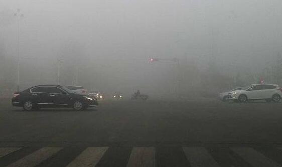 淄博大雾预警能见度低于50米 多所中小学停课高速封闭