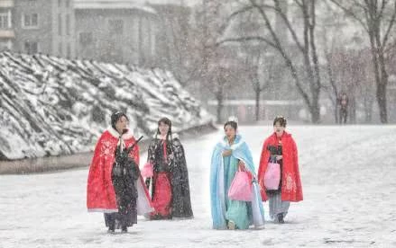 沈阳故宫的雪景：红墙白雪增添深宫寒意