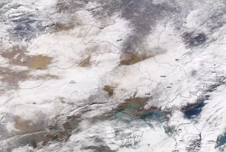 暴雪的作用：内蒙古大草原变成“林海雪原”