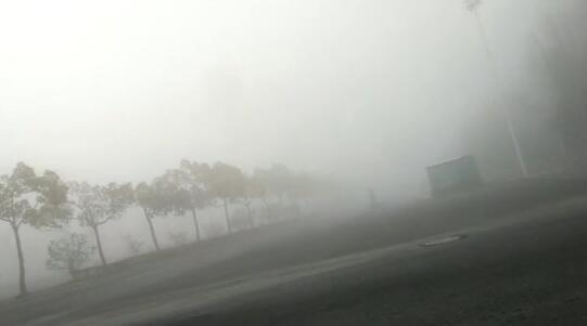受大雾天气影响 今晨合肥这些高速交通管制