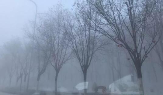 内蒙古乌海发布大雾预警 部分公交线路临时调整